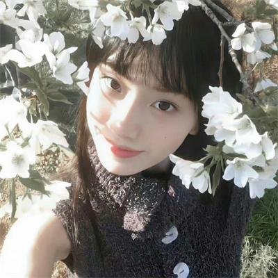 山花烂漫时