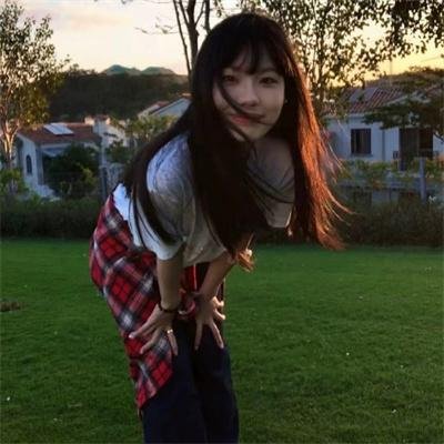 雏菊
